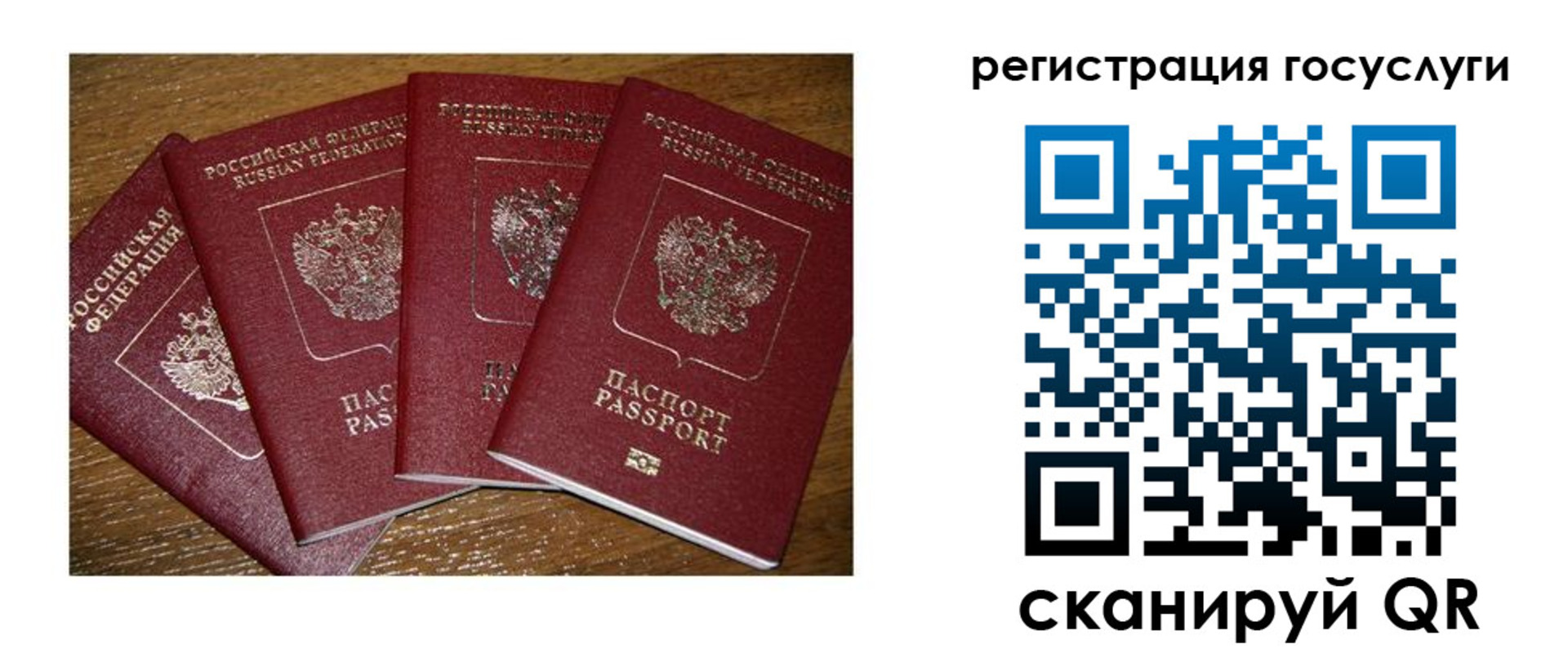 временная регистрация гарантия в Сельцо